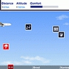 Airline Pilot Image
