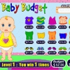 Baby Budget