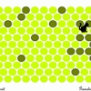 Circle the Cat