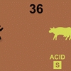 COLORUS