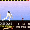 Cricket Game