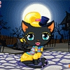 Cute Kitty Cat Image