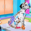 Dalmatian Puppy Day Care Image
