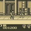 Double Dragon Image