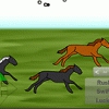 Enjoyable Horse Racing