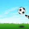Freestyle Soccer Image