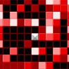 Gallus Image