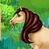 Horse Caring and Spa Image