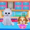 Kitty And Puppy Friendship Image