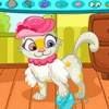 Kitty To Be Image