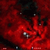 Meiosis Battle Pong Image