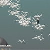 Mr. Moore's Last Seconds Image
