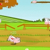 Pig Race Image