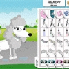 Poodle Needs Owner