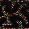 Racing Warrior