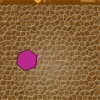 Shape Juggler
