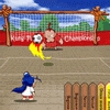 Shoot The Goal