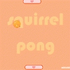 Squirrel Pong