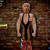 Trumps Dart Pain Meter 2