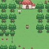 Woodland Adventure Image